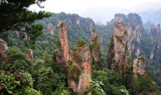 张家界门票 张家界门票