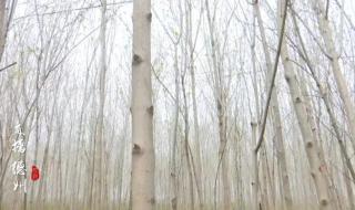 滞销宝贝怎么处理 滞销宝贝怎么处理