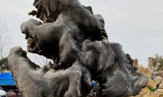 中国观赏石 中国观赏石