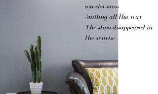 一加一等于我爱你