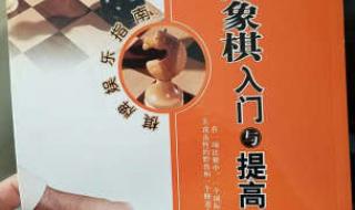 国际象棋入门快易精