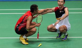 世界羽联名人堂林丹